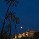 Palmeras y Luna
