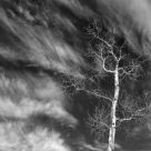 Winter wind