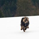 in a hurry