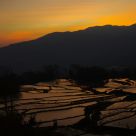 Dawn
