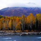 Autumn of river bank