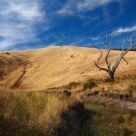 Dry Fleurieu Peninsula