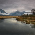 Winters Last Fall
