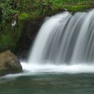 Il salto