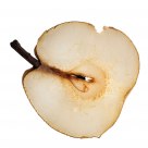 Slice of a pear, lit from the back.