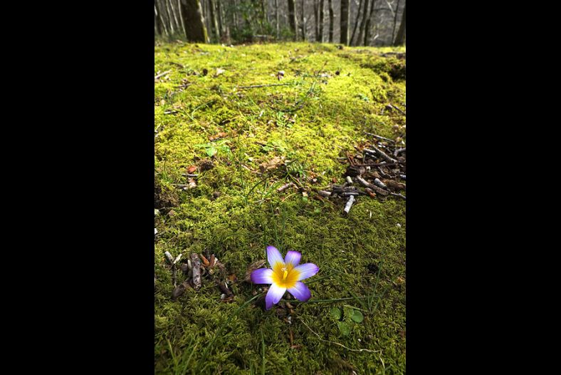 Parco Nazionale d'Aspromonte