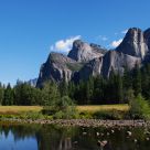 Yosemite National Park