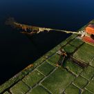 the mooring of the boat