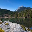 Calm Reflections