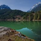 Green Reflects