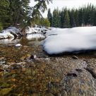 Snowy Creek