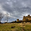 Ãrboles y castillo