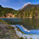 Shimery Reflections