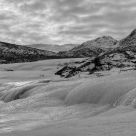 Frozen