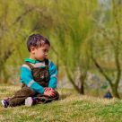 Green Thoughts