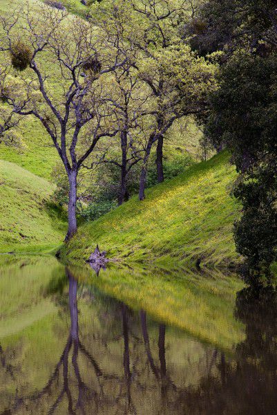 Reflections