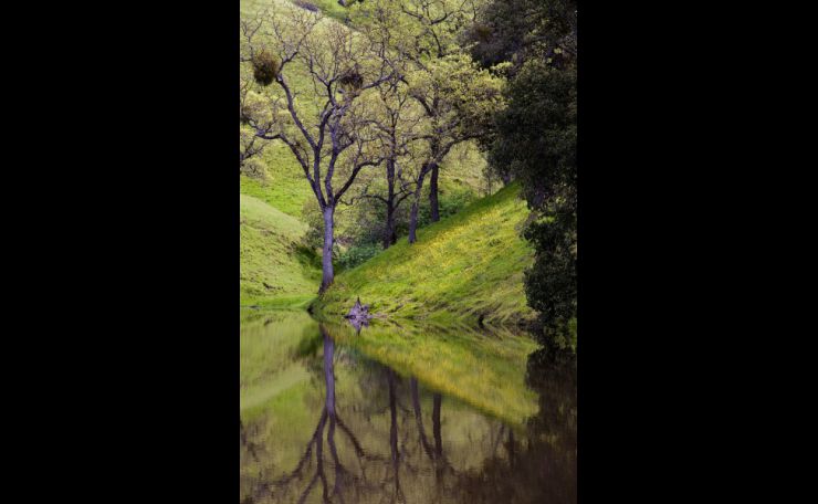 Reflections
