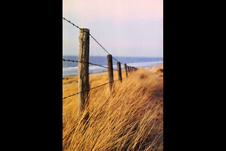 Fence