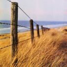 Fence