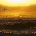 Great Ocean Road, Sunrise