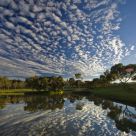 Reflections at Pond, Deakin University