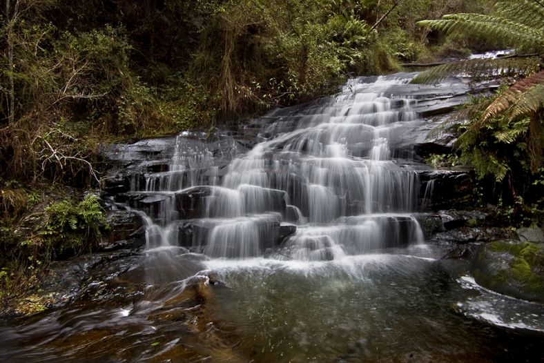 Cora Lynn Cascades