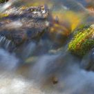 Mountain stream
