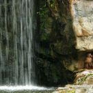 Waterfall Monkeys