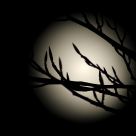 Full moon