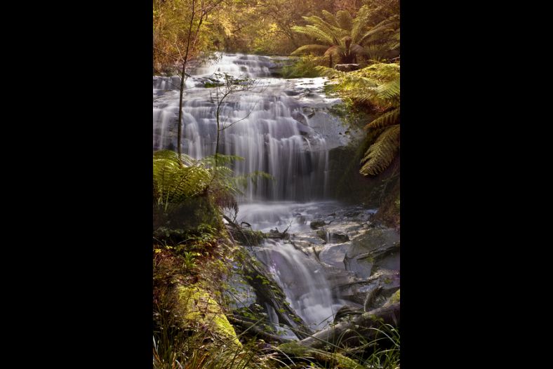 Cora Lynn Cascades