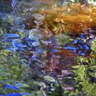 Multicolored Water