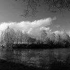 Quiet day