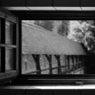 Medieval cobweb view
