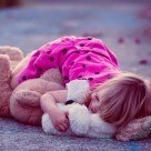 bear bed
