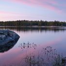 Morning on McRae Lake