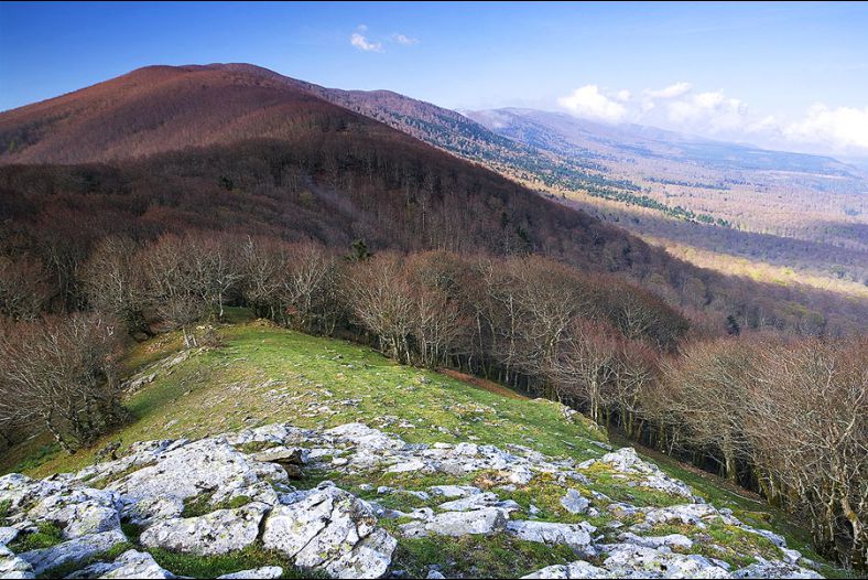 Parco Nazionale d'Aspromonte