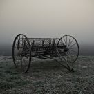 I love getting lost in the poetry of the countryside and the fog