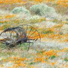 Rural Rustic Farm Equipment