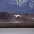 Take Off