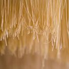 noodles