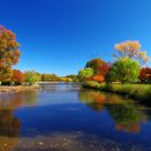 New Jersey Foilage