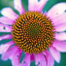 Symmetry