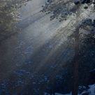 Windblown Snow