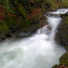 Honey Hollow Gorge - Preston Brook