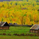 Barns