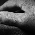 Hand Study