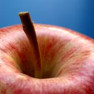 Simply an Apple