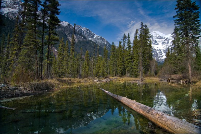 Mount Robson