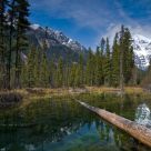 Mount Robson