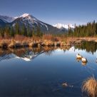 Mountain Pond